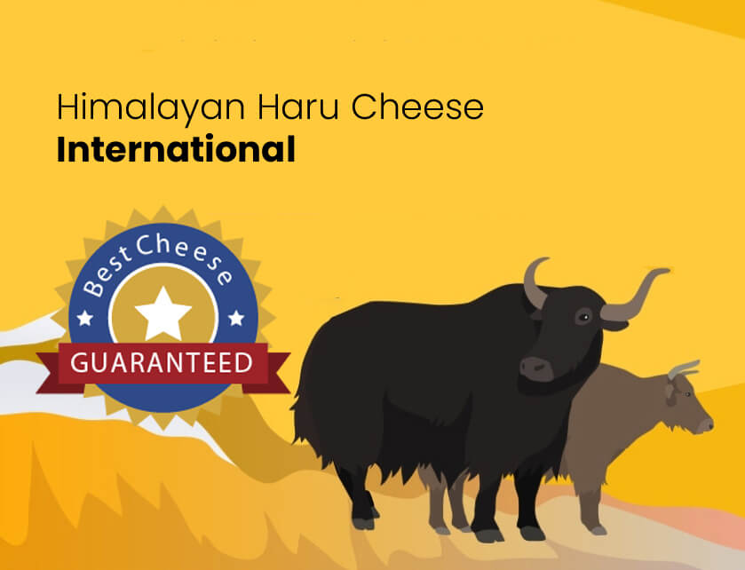about haru cheese
